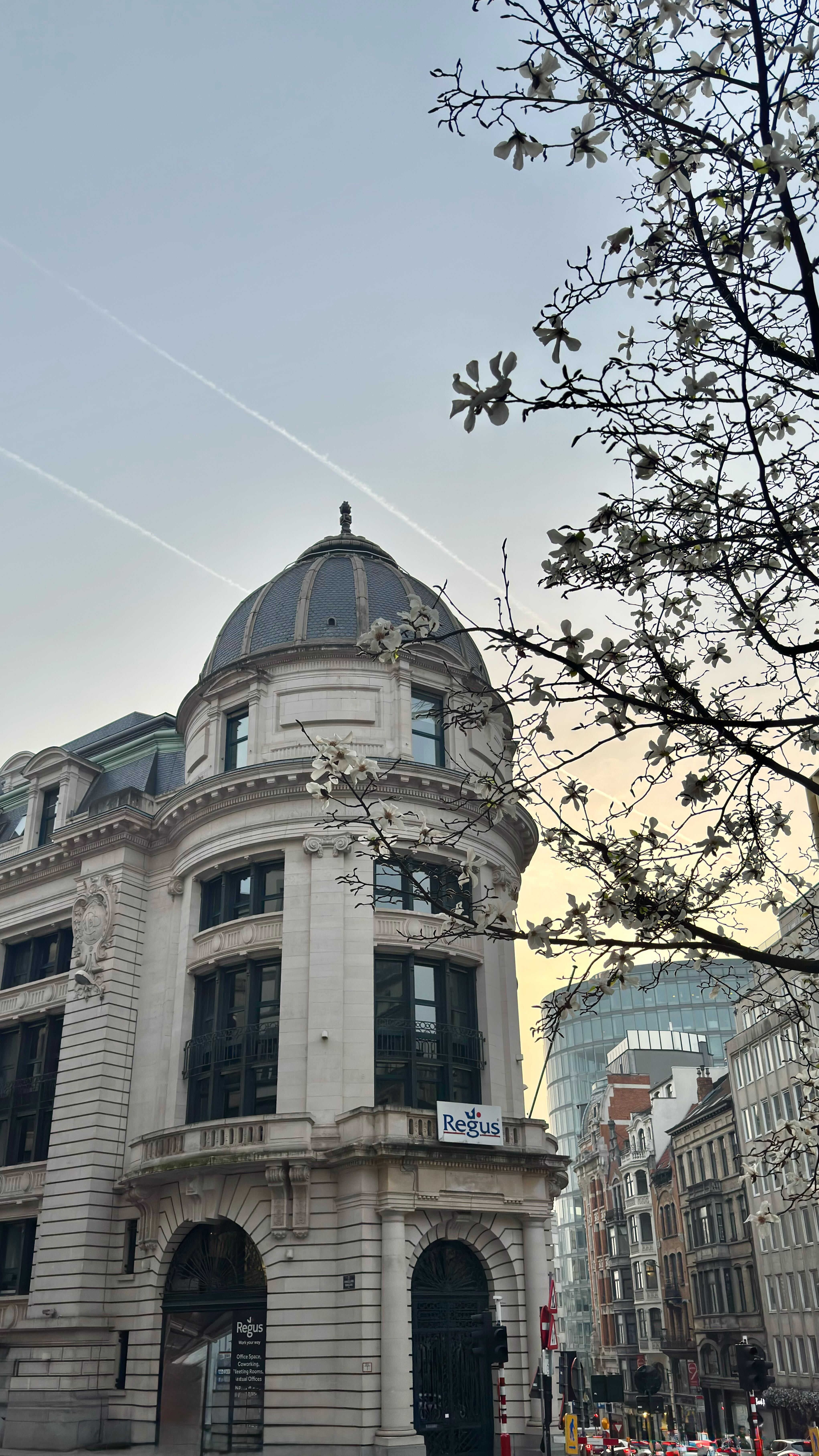 Dayana Group Brussels office